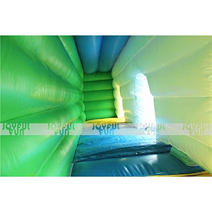 Customizable Inflatable Double Slides for Kids for Sale