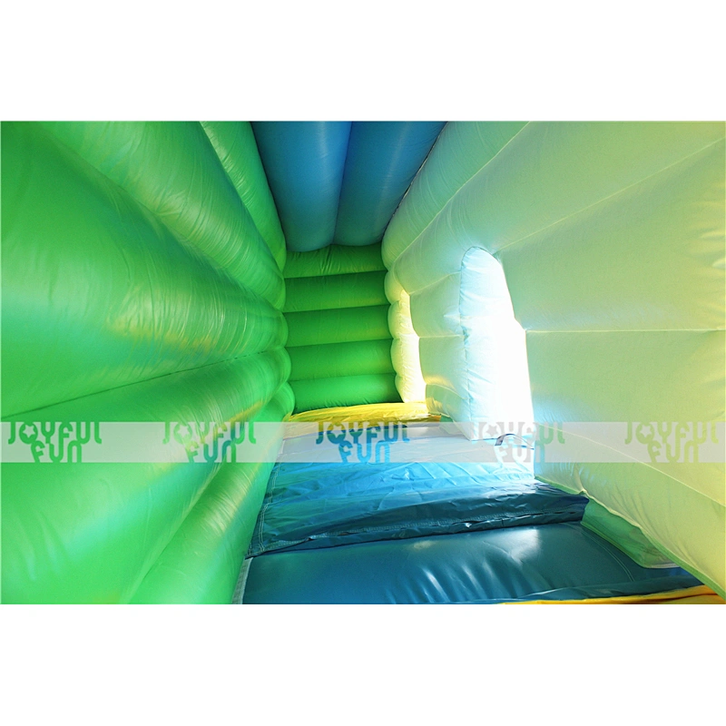 Customizable Inflatable Double Slides for Kids for Sale