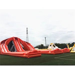 Joyful Fun Hippo Water Slide Used Commercial Outdoor Inflatable Water Slide for Adults