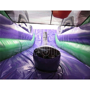 Wholesale Customized Double Lanes Slide Commercial Outdoor Indoor Inflatable Dry Slide