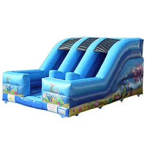 Wholesale High Quality Outdoor Dry Slide Commercial Grade Inflatable Big Slide for Sale