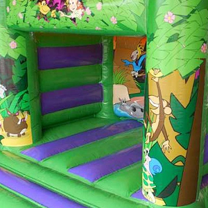 Customizable Animal Theme Inflatable jumper for Kids