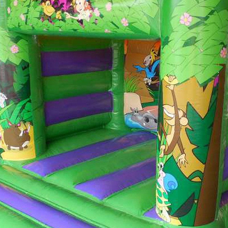 Customizable Animal Theme Inflatable jumper for Kids