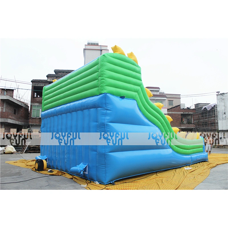 Customizable Inflatable Double Slides for Kids for Sale