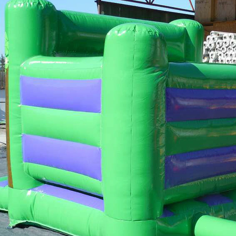 Customizable Animal Theme Inflatable jumper for Kids