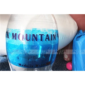 Top Quality 2017 Hot Sale Water Inflatable Advertising Inflatable Bottle for Advertising