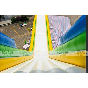 High Quality Used Commercial Outdoor Hippo Inflatable Water Slide for Sale