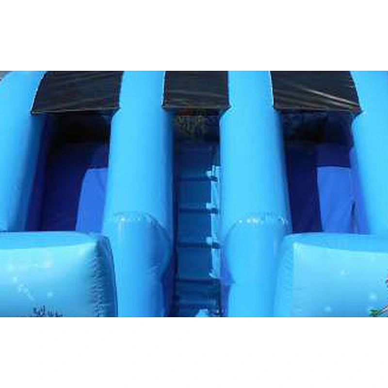Wholesale High Quality Outdoor Dry Slide Commercial Grade Inflatable Big Slide for Sale