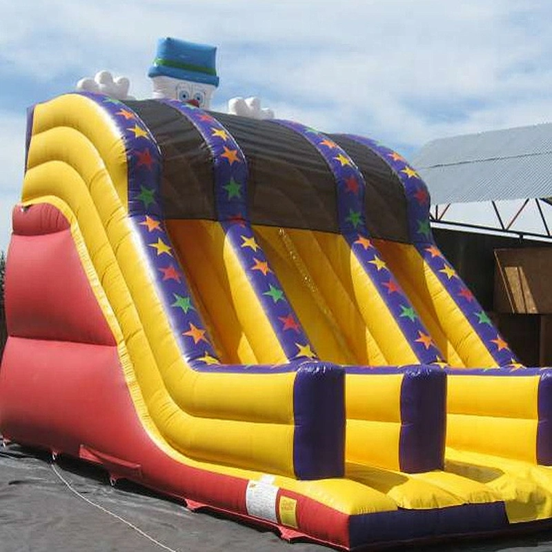 Clown theme 2-lane slide outdoor inflatable dry slide for kids or adult