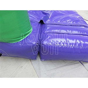 Wholesale Customized Double Lanes Slide Commercial Outdoor Indoor Inflatable Dry Slide