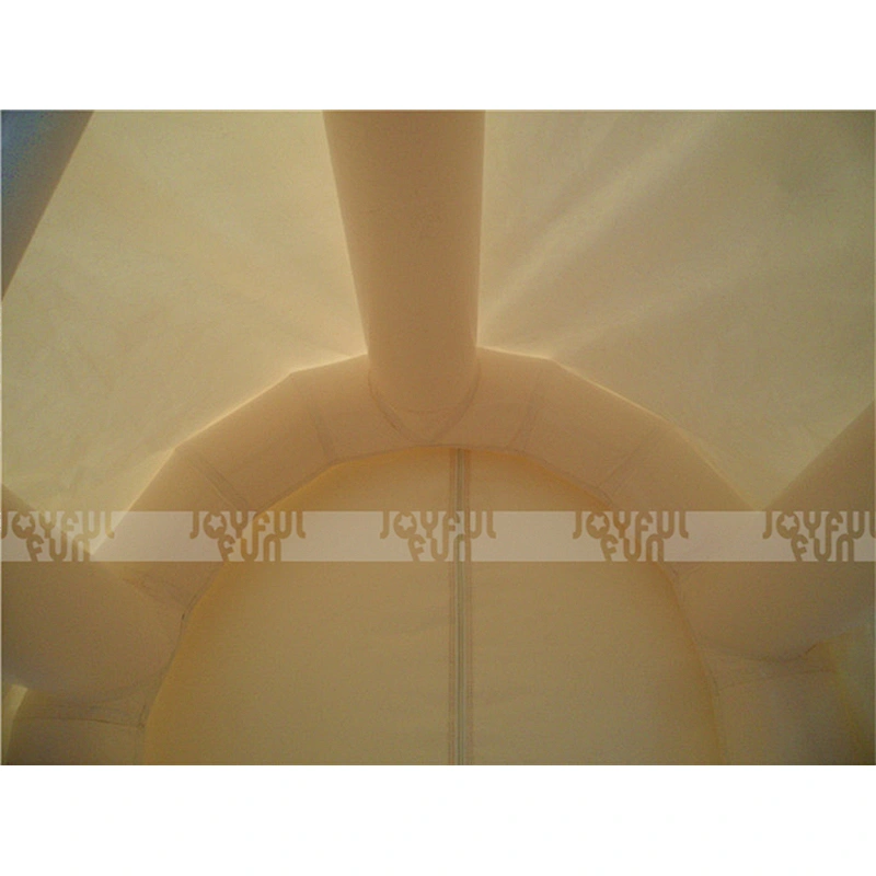 Outdoor Attractive Clear Large Inflatable Snow Globe for Christmas Decoration Sale