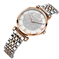 Stainless steel case watch