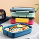 kids bento lunch box