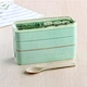 japanese bento lunch box
