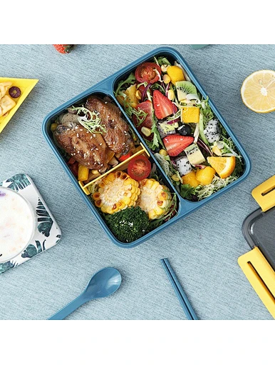 eco friendly lunch containers