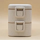 lunch box with compartments