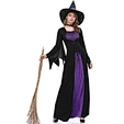 witch broomstick