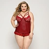 sexy bustier and corset