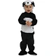 baby bear baby bear