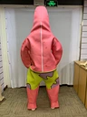 adult costume