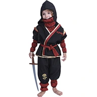 ninja kids