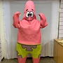 adult costume