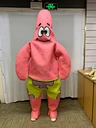 adult costume