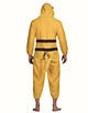cosplay costume