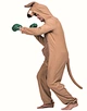 the kangaroo