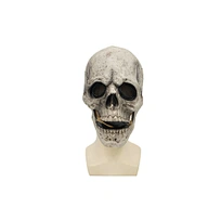 mouth to mouth mask