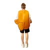 a clownfish