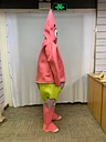 adult costume
