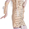 egyptian history pharaoh