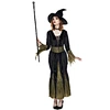 the costume