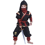 ninja kids