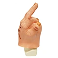 finger latex