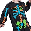 human skeleton skull