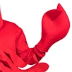 costume  halloween