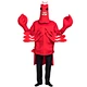 halloween costume