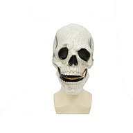 mouth to mouth mask