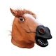 head horse
