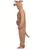 the kangaroo