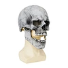 mouth to mouth mask
