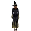 the costume