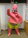 adult costume