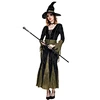 the costume