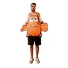 a clownfish