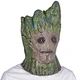 the guardians