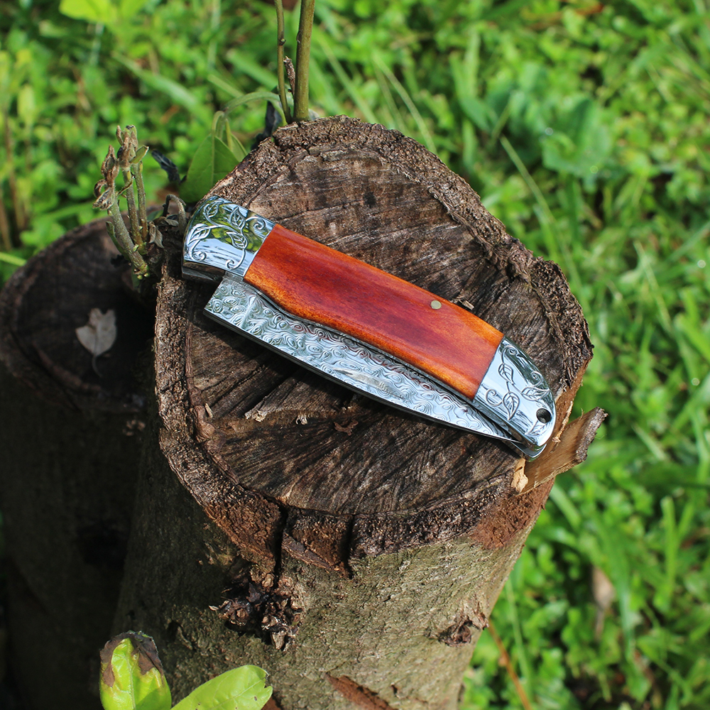 compact size bone handle pocket knife