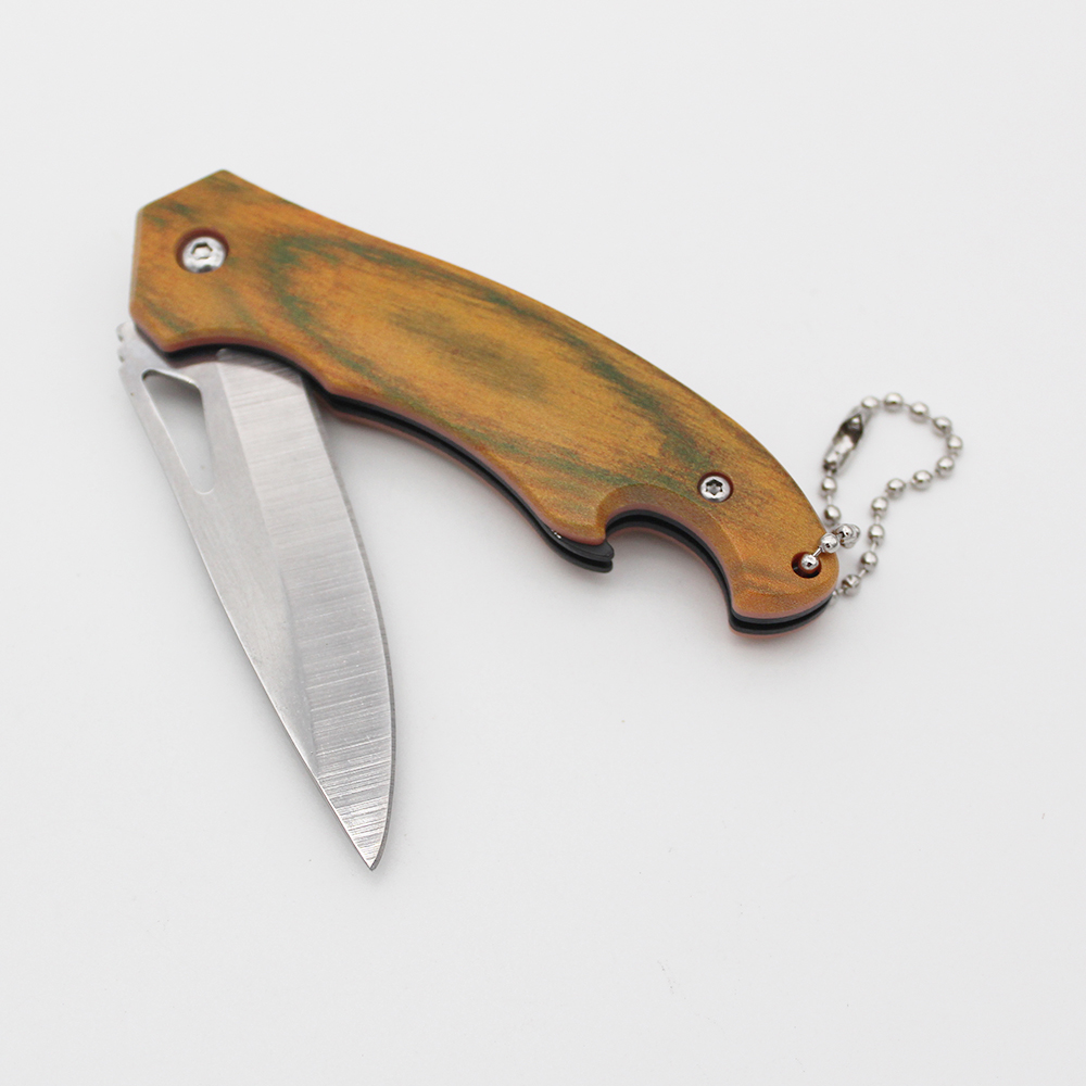 Small Keychain Knife